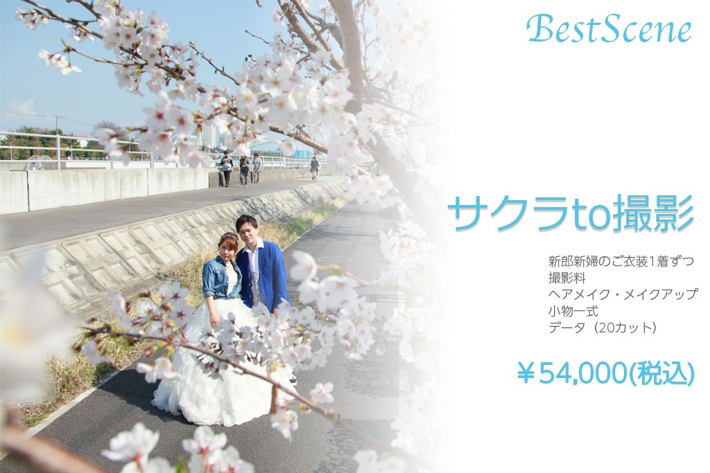 info_cherry